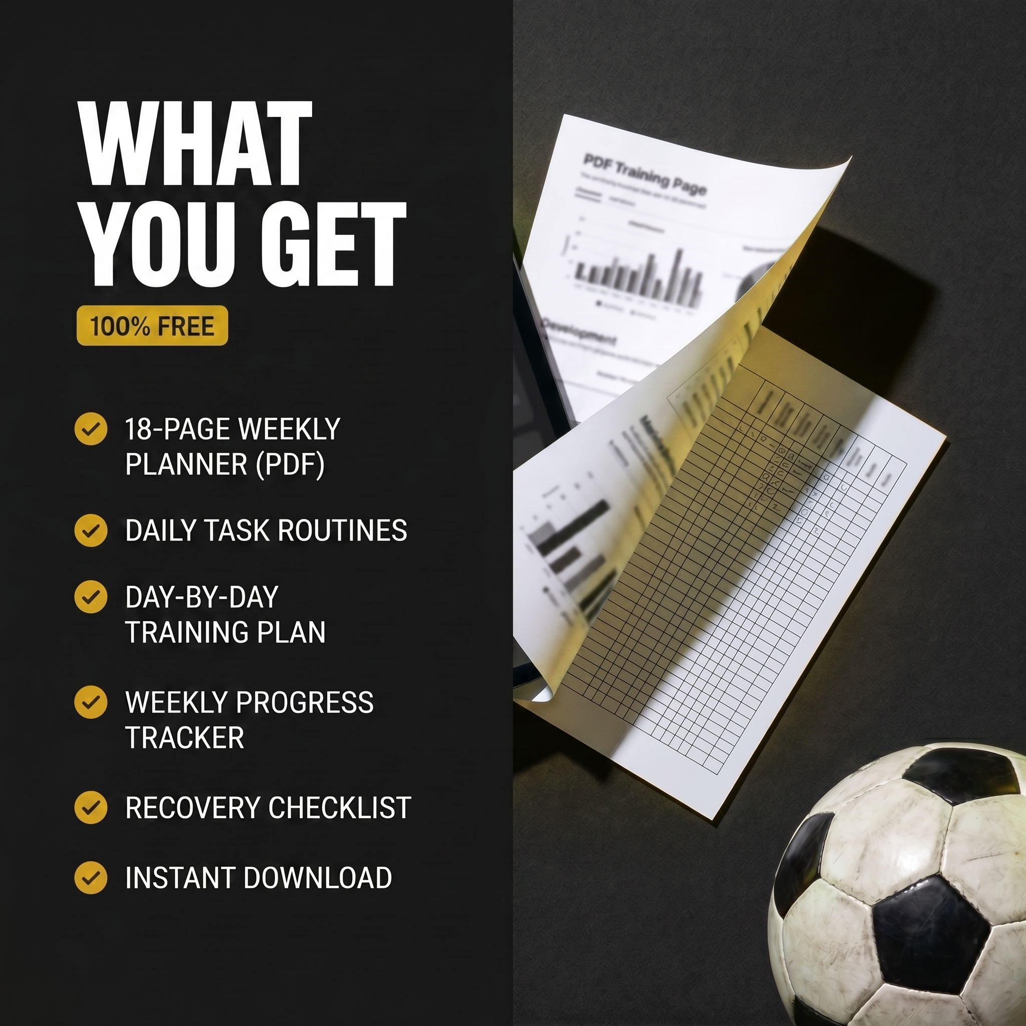 Everything you get in the free planner